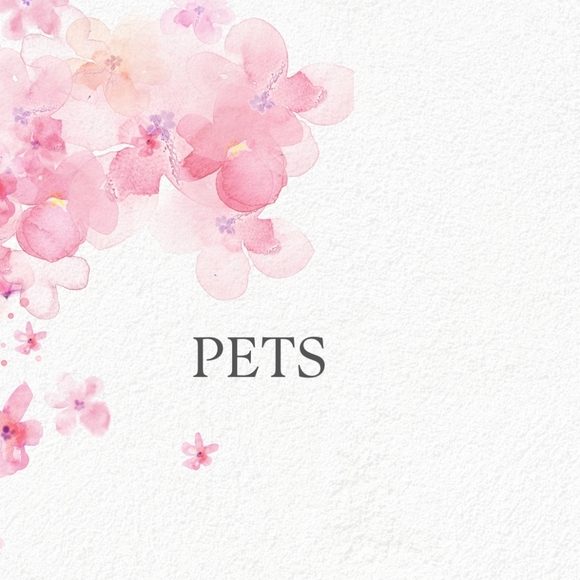 Pet Items - Picture 1 of 1